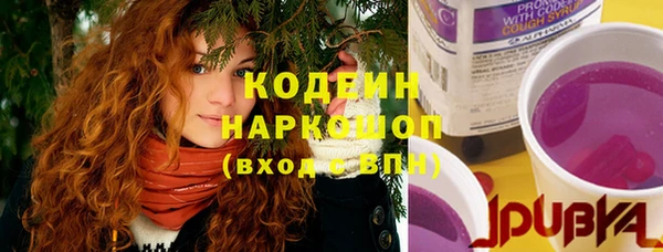 хмурый Заводоуковск