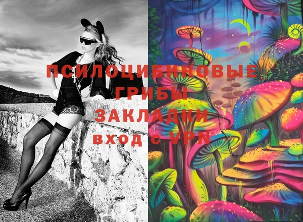 стафф Заволжье
