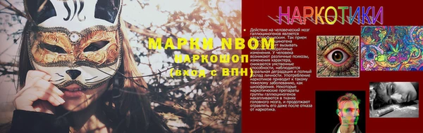 стафф Заволжье